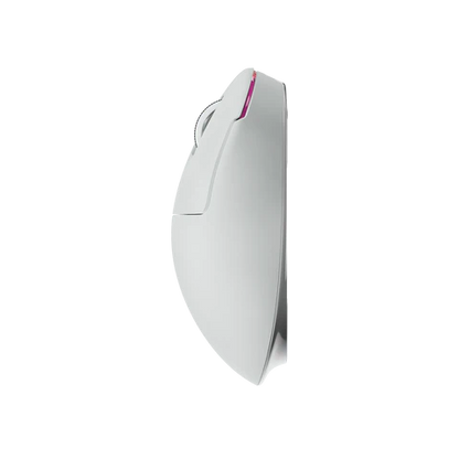 ZYwo0 The Chosen Mouse